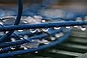 Overnight_rain