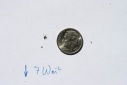 NOAA-Insect_in_cavity_has_7_Wm-2_effect